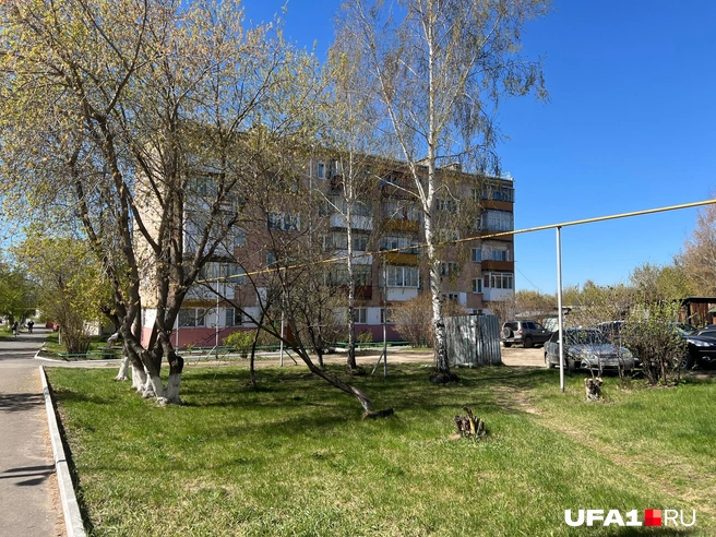 Раньше в окрестностях Катайска жили башкиры | Источник: Андрей Бирюков / UFA1.RU