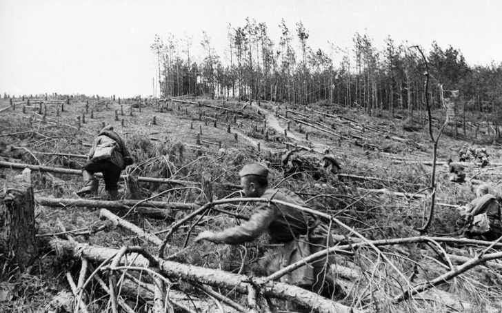 Награды и награжденные: история ордена Отечественной войны