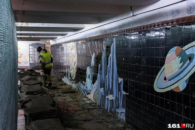 Власти Ростова о мозаике в переходе