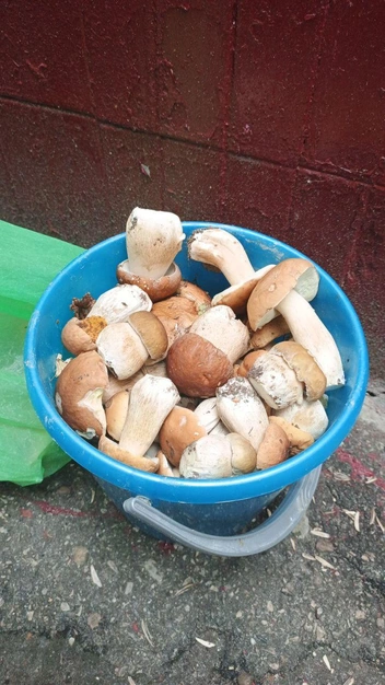 Источник: читатель NN.RU