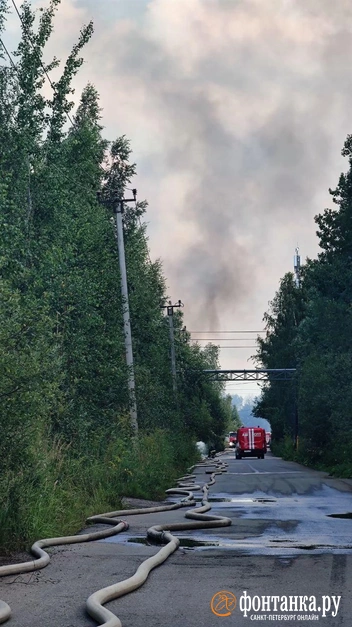 Огонь над зарослями и пожарные расчёты: на Волхонском шоссе снова горит | Источник: читатель «Фонтанки»