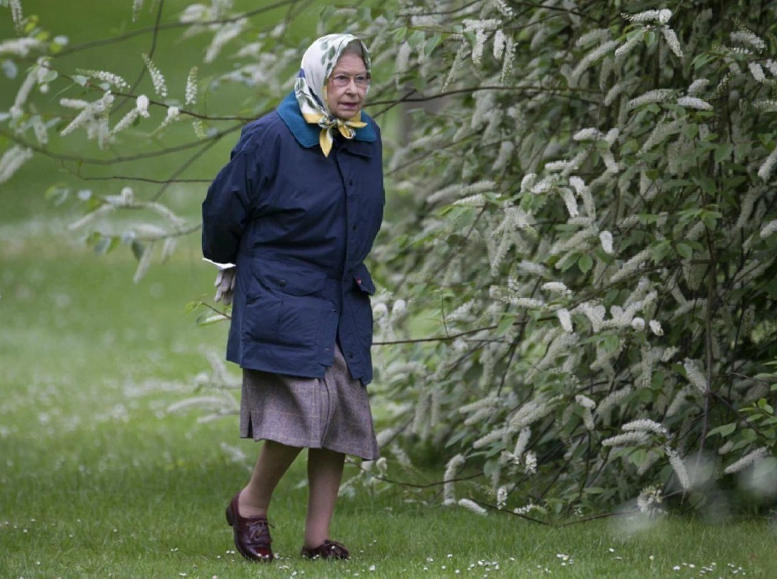 Как Елизавета II подшутила над американскими туристами | marieclaire.ru