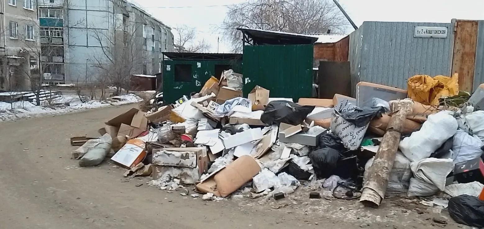 Крысы и мыши уже завелись на не убираемой свалке во дворе Читы. Ответственные переводят стрелки