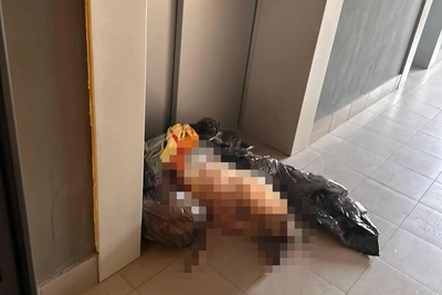 Собака найдена мертвой у лифта в жилом доме