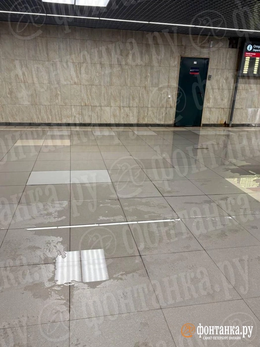 Источник: читатель «Фонтанки»