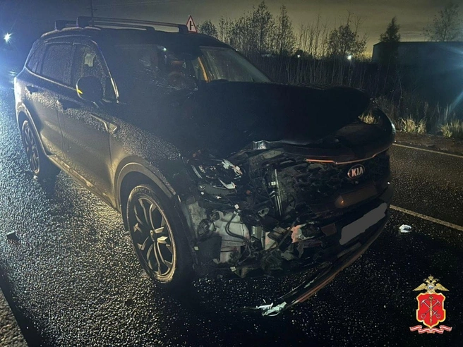 По дороге в Марьино водитель насмерть сбил внезапного пешехода | Источник: Телеграм-канал «Петербургская полиция»