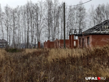 Источник: Булат Салихов / UFA1.RU
