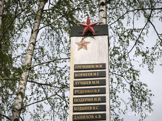 Источник: www.city-n.ru