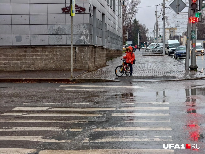 Будущий питбайкер? | Источник: Булат Салихов / UFA1.RU