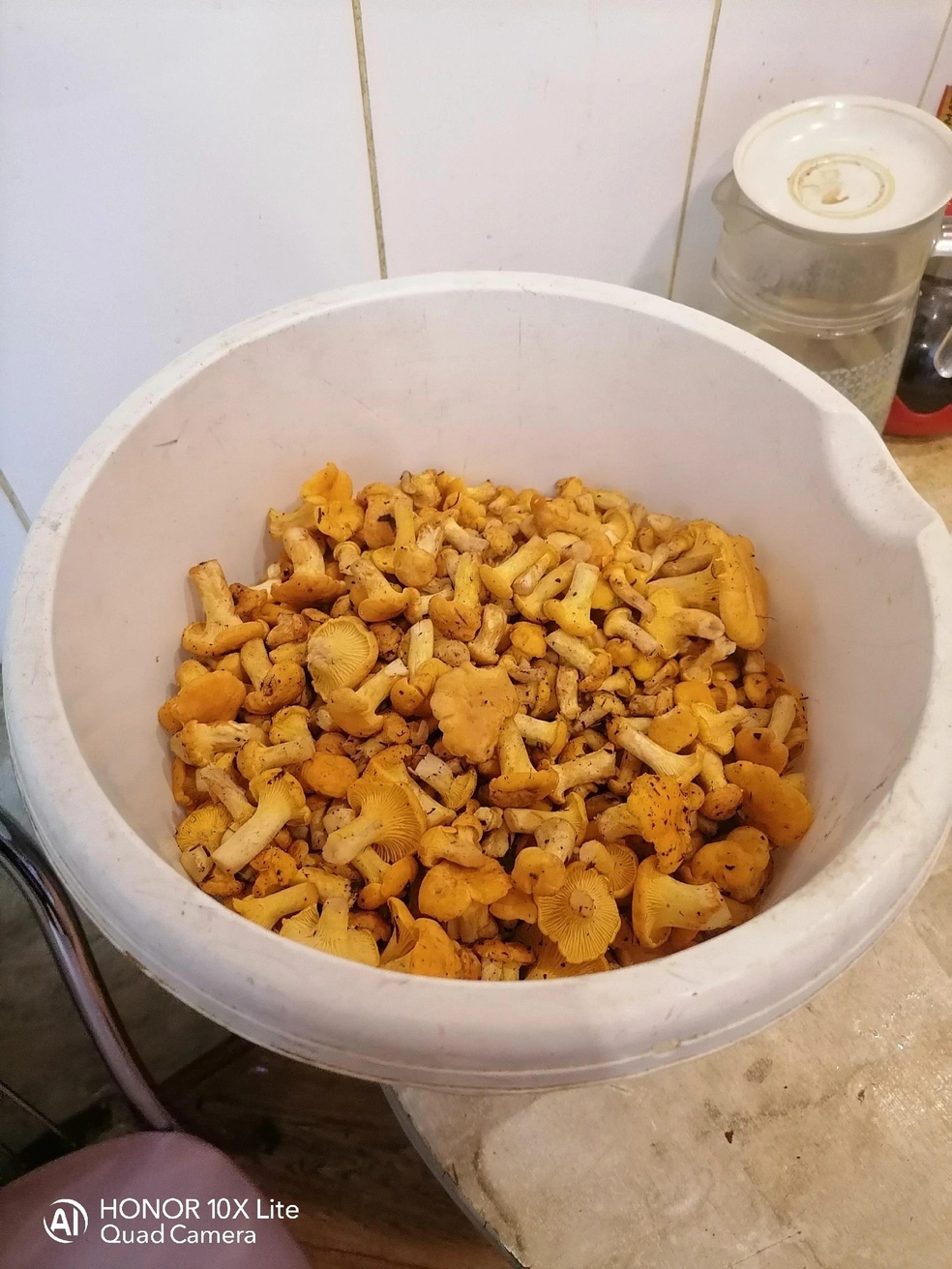 Жительница Углича набрала таз лисичек | Источник: Анастасия Бутина Грибы Ярославской области 2025 / Vk.com