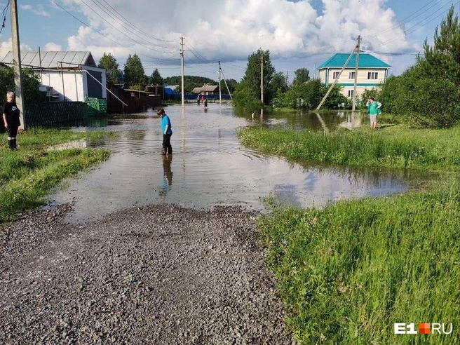 Источник: читатель E1.RU