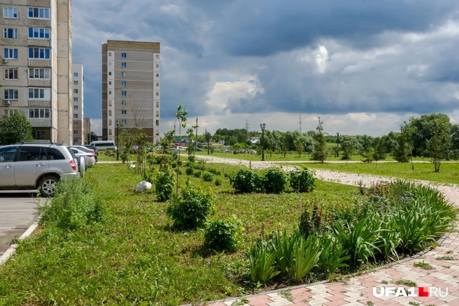 И всё же лучше, чем ничего