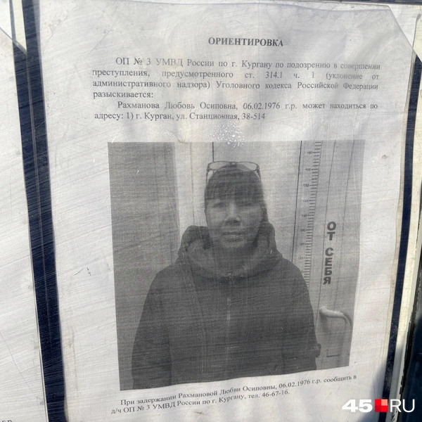 Источник: Кирилл Митин