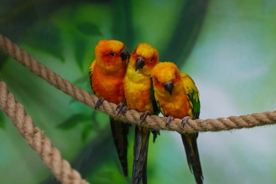 Синоптики рассказали о погоде в Иркутске на неделе