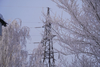 Arkhangelsk Holds Drills Following Power Line Collapses in Neighboring Region