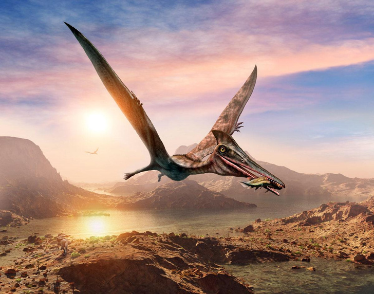 Парящий гигант: какие существа могли стать прототипами огромной птицы Рух