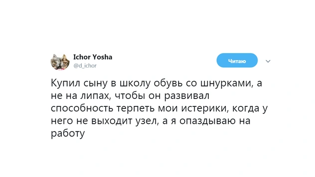 Шутки вторника и господин кот