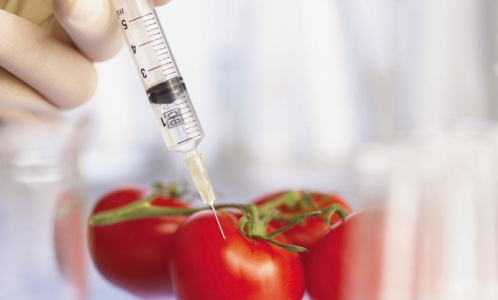 Депутаты хотят ограничить использование продуктов с ГМО