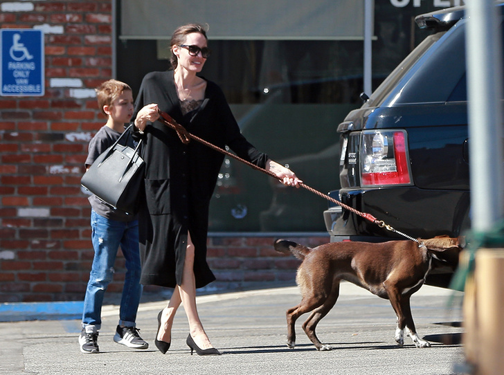 Дама с собачкой: мастер-класс от Анджелины Джоли по выгулу собак