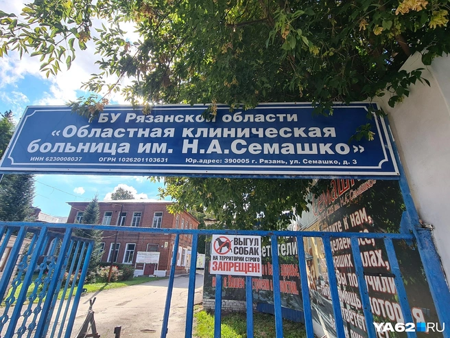Пациента сразу проконсультировал сосудистый хирург | Источник: Светлана Коновалова / YA62.RU