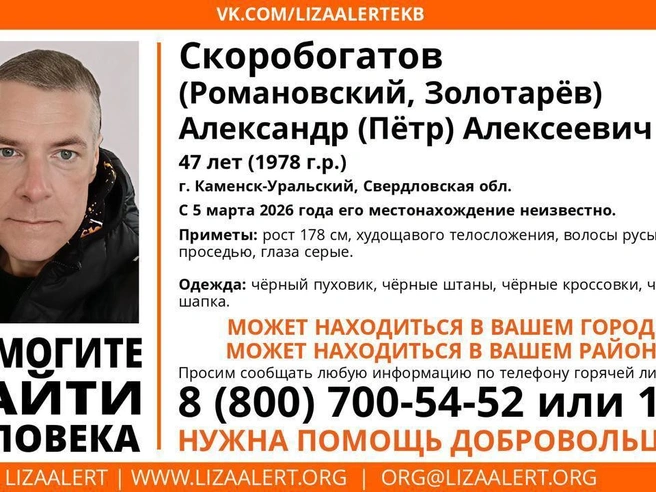 Источник: поисковый отряд «ЛизаАлерт»