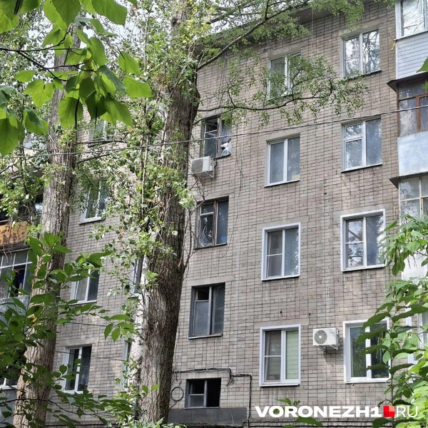 Источник: Алёна Воропаева/ Voronezh1.ru