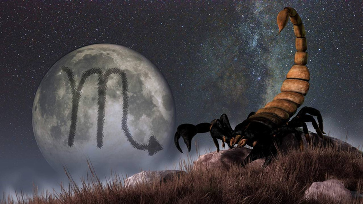 скорпион, знаки зодиака