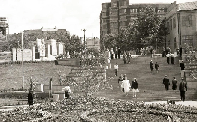 Сейчас пальмы на набережную выставляют в кадках на лето, а в конце 50-х ими озеленили Красноармейский спуск | Источник: фотофонд Самарского областного государственного архива социально-политической истории