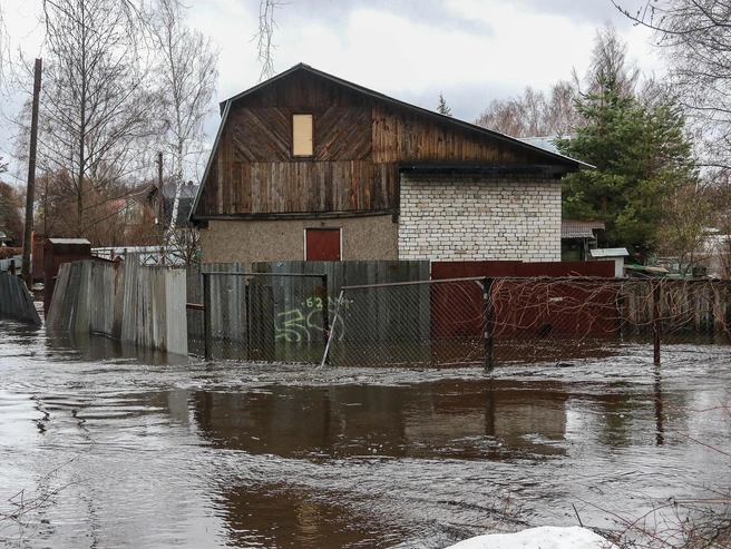 Со стороны лесного заезда попасть в товарищество также невозможно. | Источник: Наталья Бурухина / NN.RU