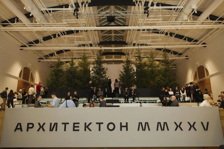 Источник: Илья Штольц