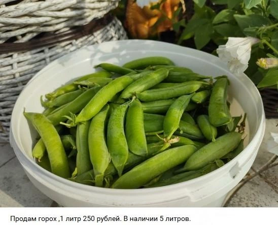 Источник: Архангельский онлайн рынок. Куплю. Продам. / Vk.com