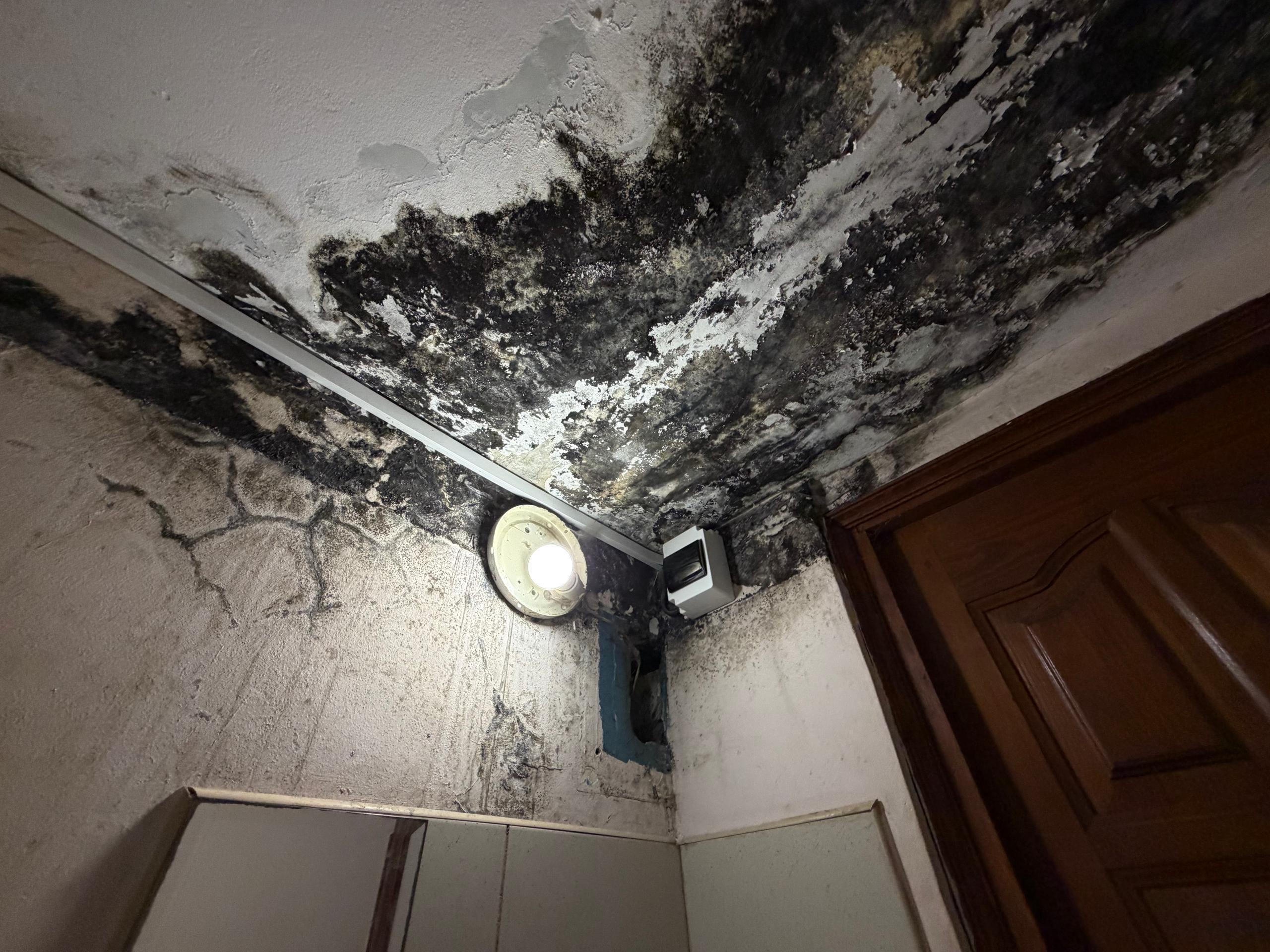 <p>Снова попасть в такой санузел не хотелось бы</p>