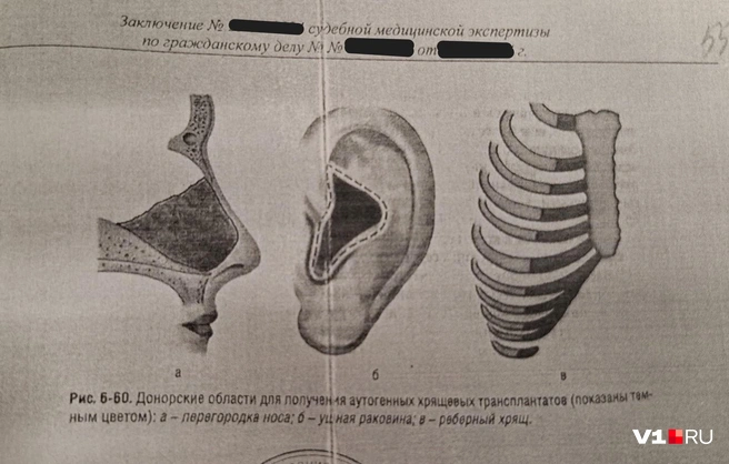 В рамках судебных разбирательств проводилось несколько экспертиз в Волгограде и Москве | Источник: Тимофей Крылов / V1.RU