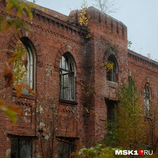 Источник: Дмитрий Толстошеев / MSK1.RU