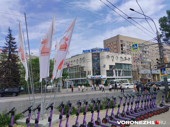 Источник: Дмитрий Волгин / Voronezh1.ru