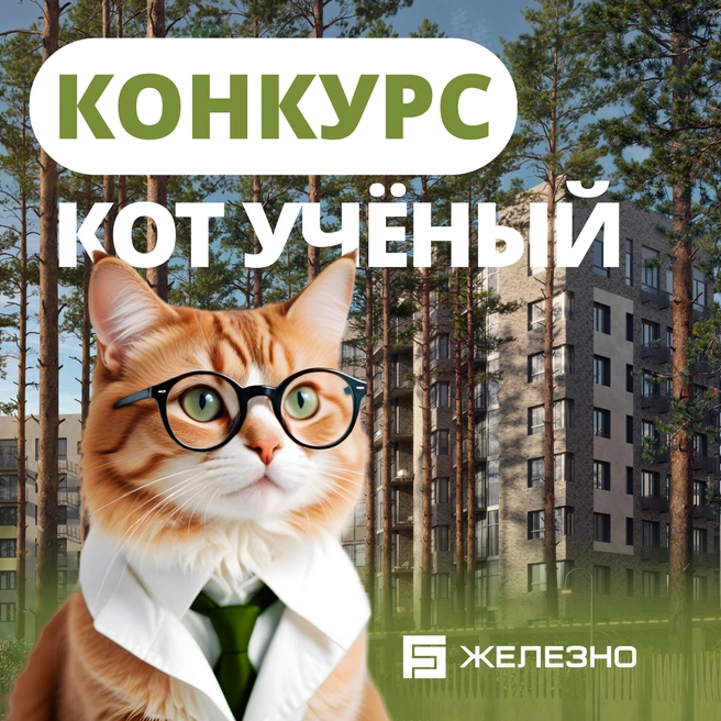 За новостями компании и конкурсом удобно следить в Telegram | Источник: «Железно»