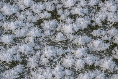Ice Flowers in Nizhny Novgorod: Phenomenon and Conditions