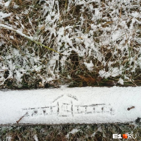 Источник: читательница E1.RU Natalya
