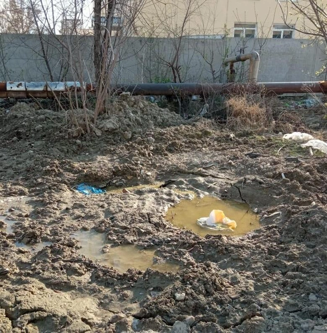 Весной 2021 года уток еще не было, зато болото никуда не исчезало даже на зиму | Источник: читатели V1.RU