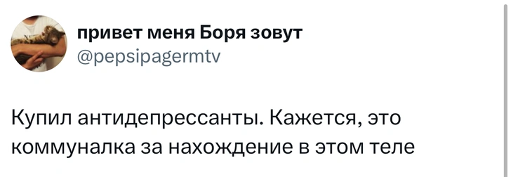Источник: X (Twitter)