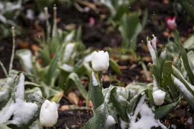 Гороскоп на неделю с 2 по 8 марта: вы не поверите, что вас ждет