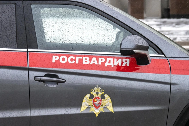 Сотрудники Росгвардии задержали преступника в федеральном розыске | Источник: Михаил Огнев / FONTANKA.RU