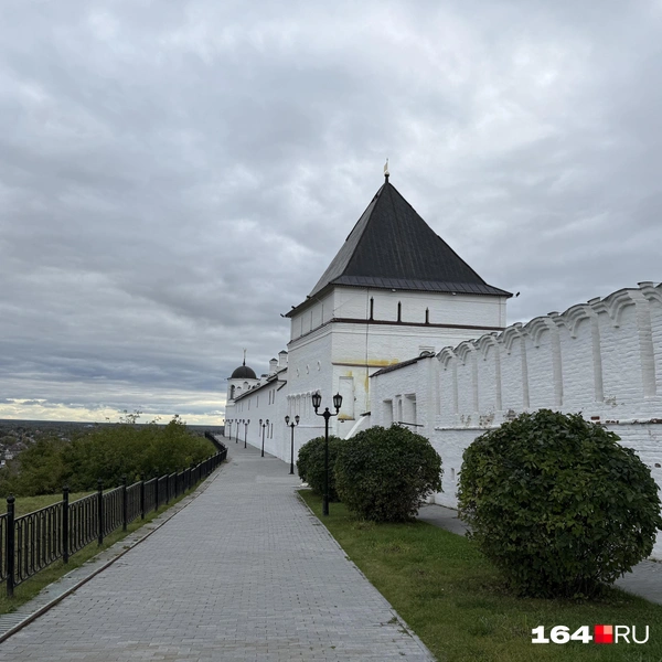 Источник: Сергей Петунин / 164.RU