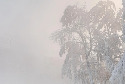 Temperature Swings in Altai Krai: -28 to -3°C Forecast