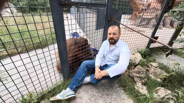 Источник: кадр видео канала «Олег Зубков — ЧЕЛОВЕК ЛЕВ Oleg Zubkov — LION MAN (Я и мои львы Тайган)» / YouTube