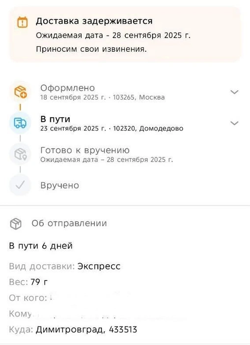 Письмо в итоге шло втрое дольше обещанного срока | Источник: ПЛЯКИН / T.me