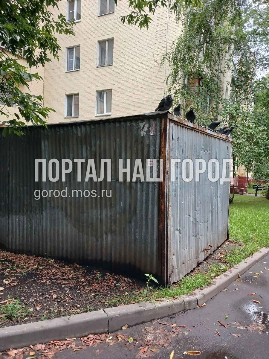 Свои возмущения москвичи фиксируют на фото | Источник: gorod.mos.ru