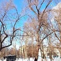 Источник: www.city-n.ru