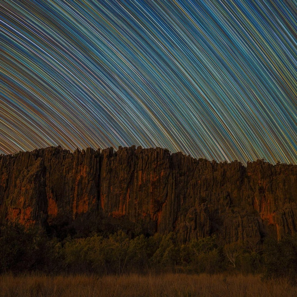 Победитель в номинации «Суша» | Источник: Scott Portelli / Oceania Photo Contest 2025