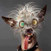 Аватарка &Mu;ῶ&mu;&omicron;&sigmaf; l Momus